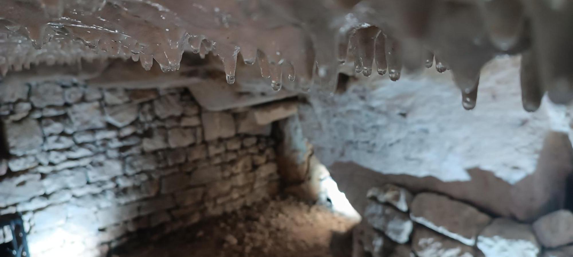 Meuble De Tourisme Petit Chail Saint Savinien Eksteriør bilde